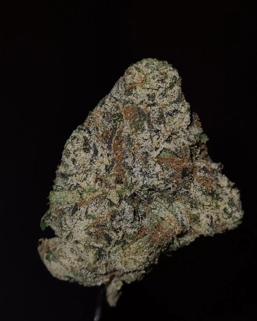 nopalez by don merfos exotics strain review by cannoisseurselections