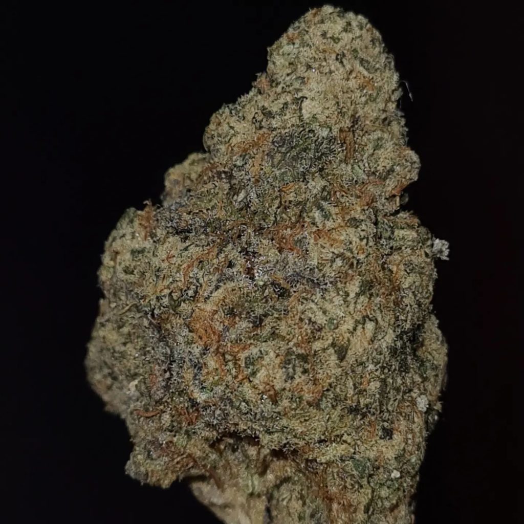 sticky ricky by grandiflora genetics strain review by cannoisseurselections