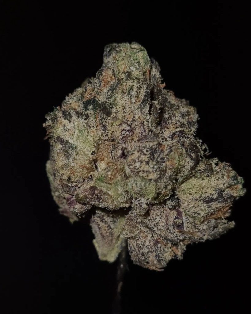 type 2 by high mart strain review by cannoisseurselections