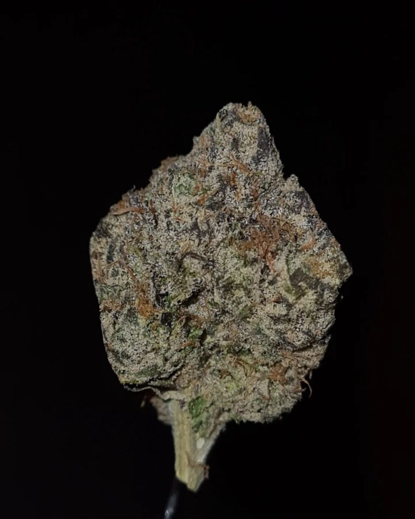 type 3 by high mart strain review by cannoisseurselections