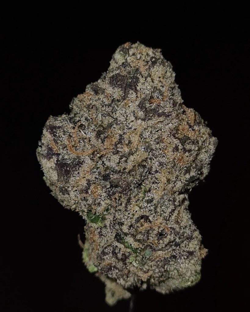 verzace by wizard trees strain review by cannoisseurselections