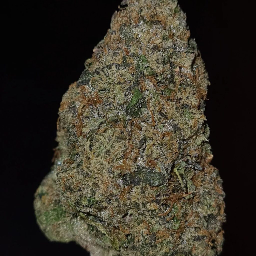 yuzu zhushimi by rare exotics strain review by cannoisseurselections