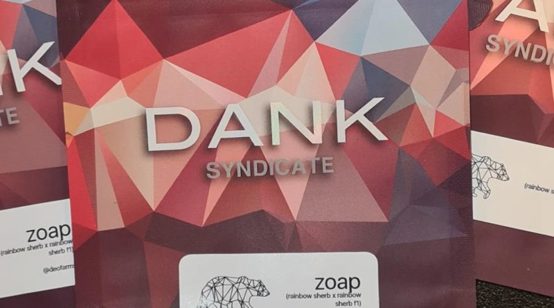 zoap by dank syndicate strain review by cannoisseurselections 2.webp