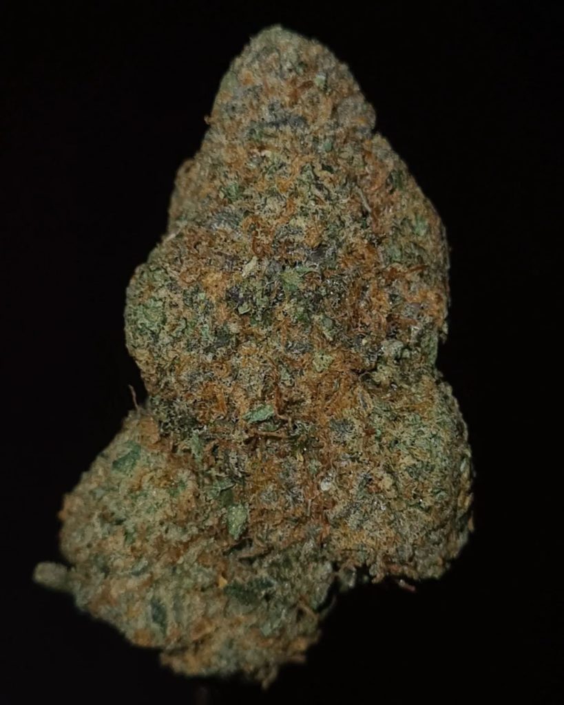 dogs bollocks by cali xotics strain review by cannoisseurselections