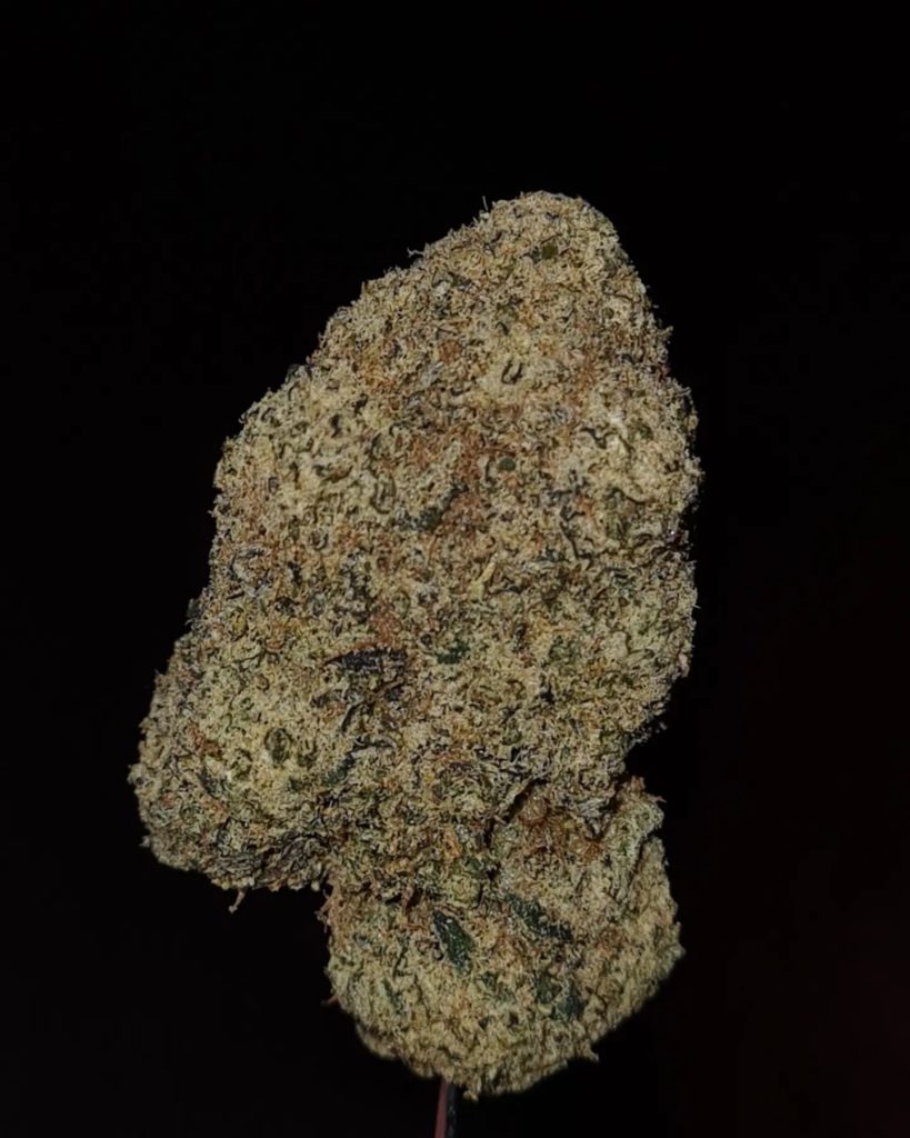 lemon raz gelato by cannatique strain review by cannoisseurselections