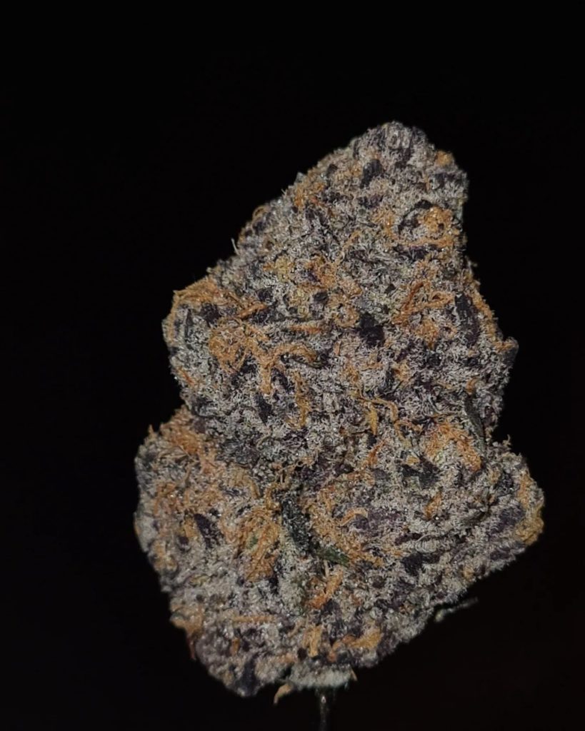 oz candy by zaba cannabis co strain review by cannoisseurselections