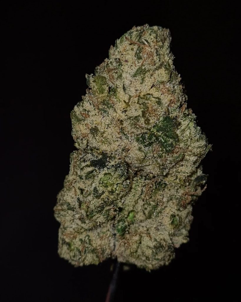 pancho villa by don merfos strain review by cannoisseurselections