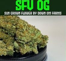 sfv og by down om farms strain review by dank maven 2