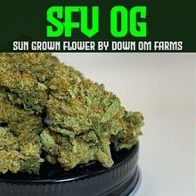 sfv og by down om farms strain review by dank maven 2