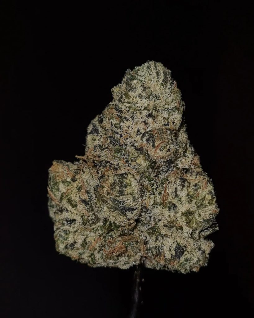 super runtz by don merfos exotics strain review by cannoisseurselections