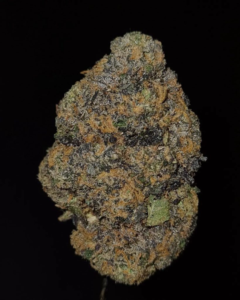 topsyde by deep east strain review by cannoisseurselections 2.webp