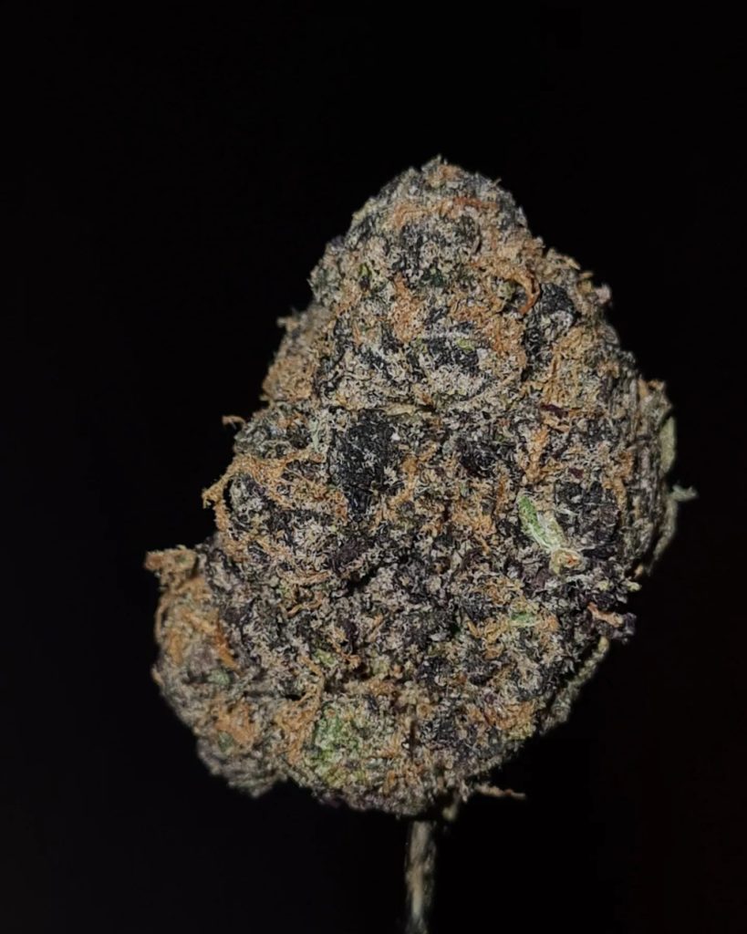 beso de la muerte 2024 by deep east strain review by cannoisseurselections