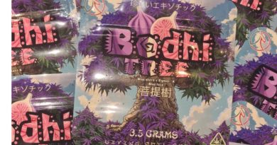 bodhi tree by rare exotics strain review by cannoisseurselections 3.webp