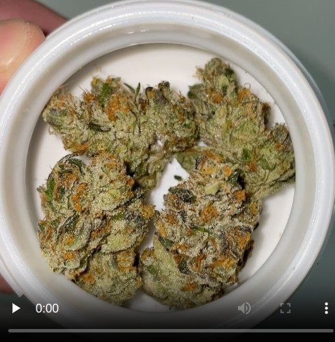 cold creek kush by 710 labs strain review by eriksreviews