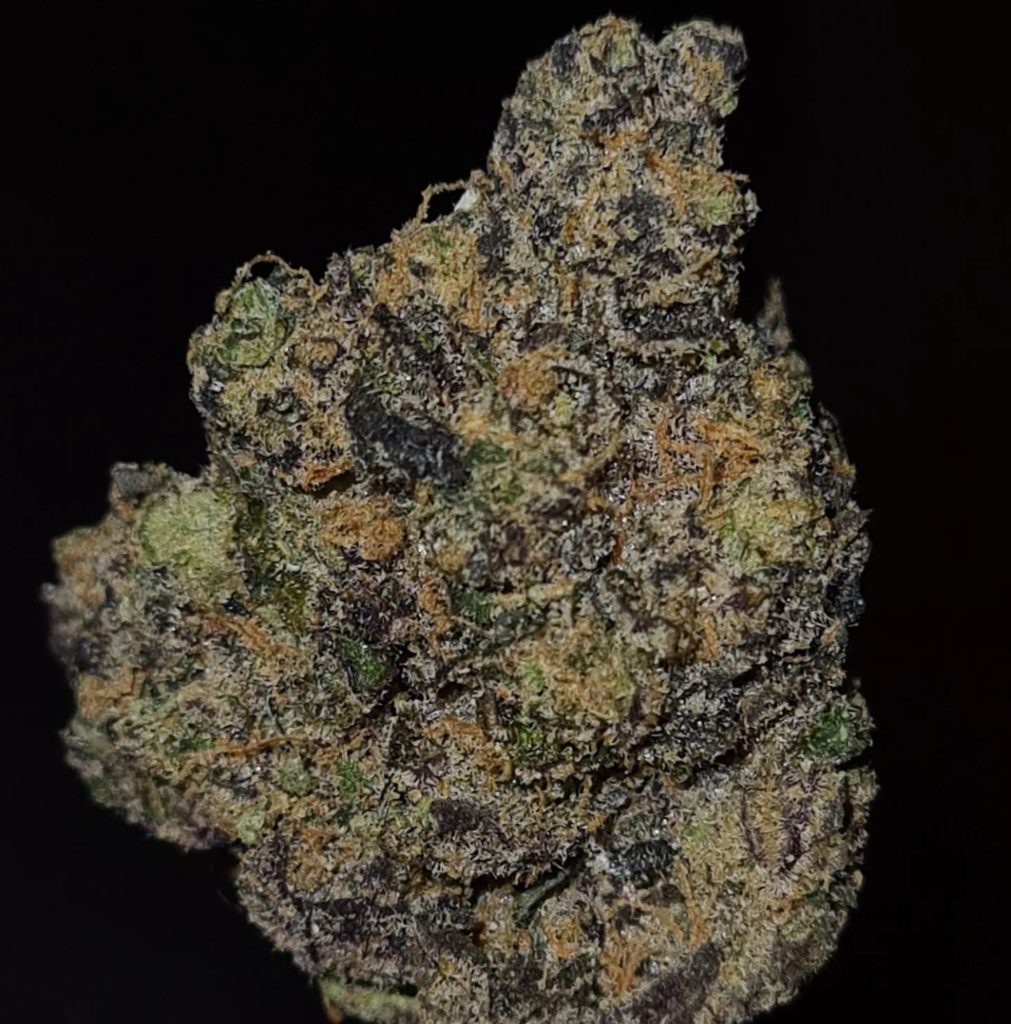 dragonball z by rare exotics strain review by cannoisseurselections