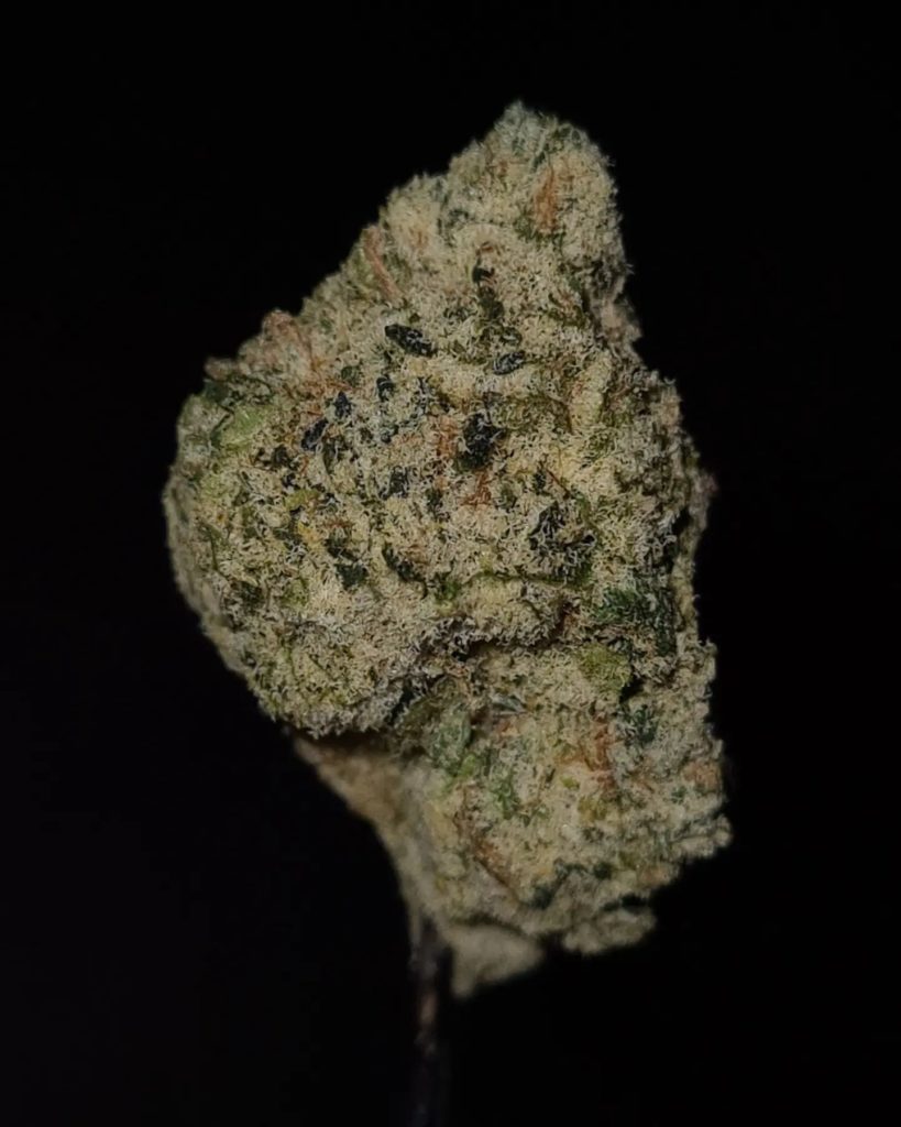 durazno z by don merfos exotics strain review by cannoisseurselections