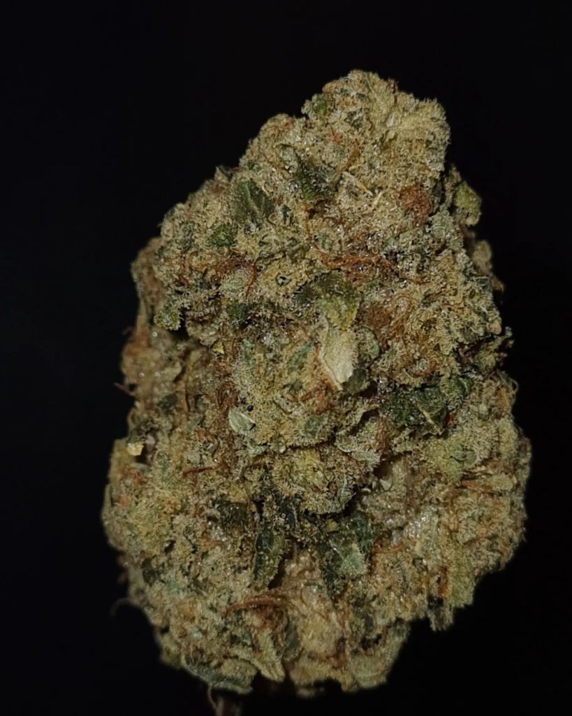 flame n hotz by jungle boys strain review by cannoisseurselections 2.webp