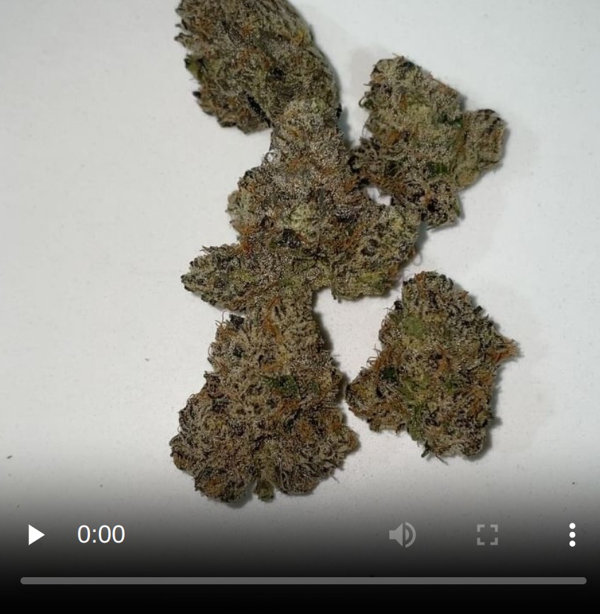 heavy zmoke by backpack boyz x 5 points la strain review by eriksreviews