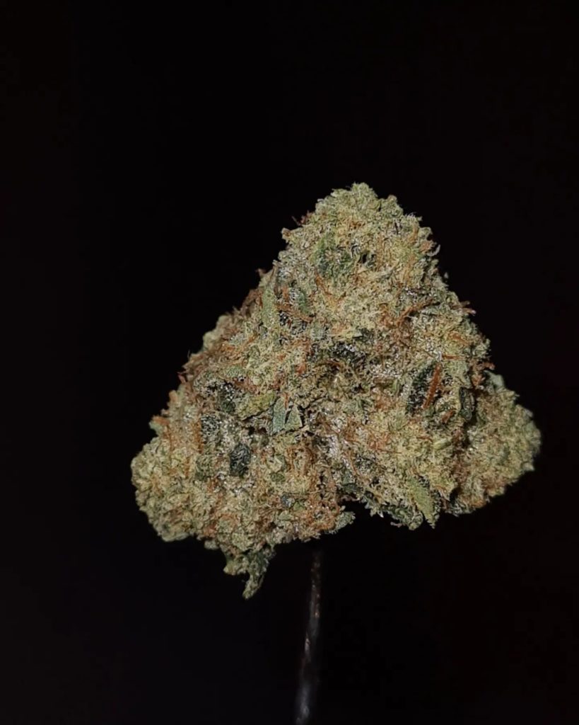 kosher og by jungle boys strain review by cannoisseurselections