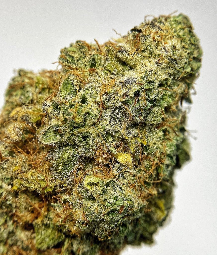 lemon choppa by playbook genetics strain review by dopamine