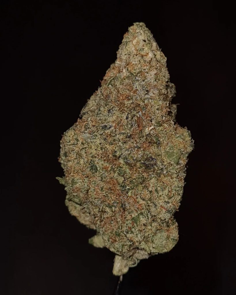 miyazaki mango by zaba cannabis co strain review by cannoisseurselections