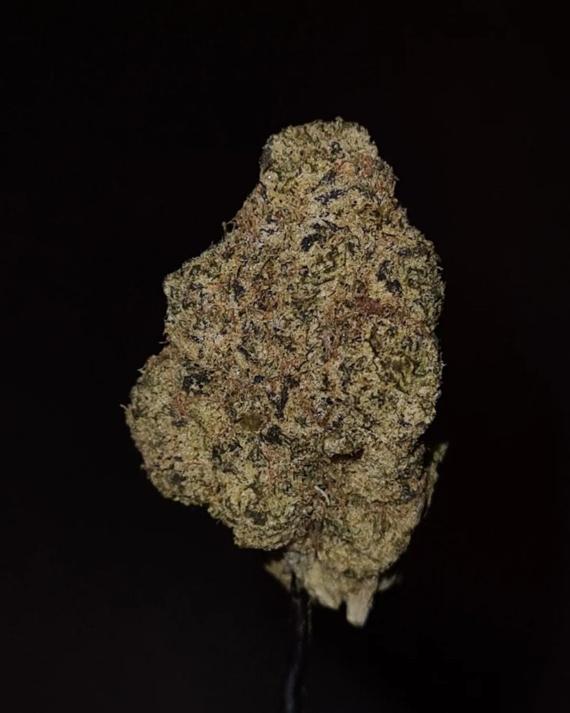 star fruit by yogos strain review by cannoisseurselections