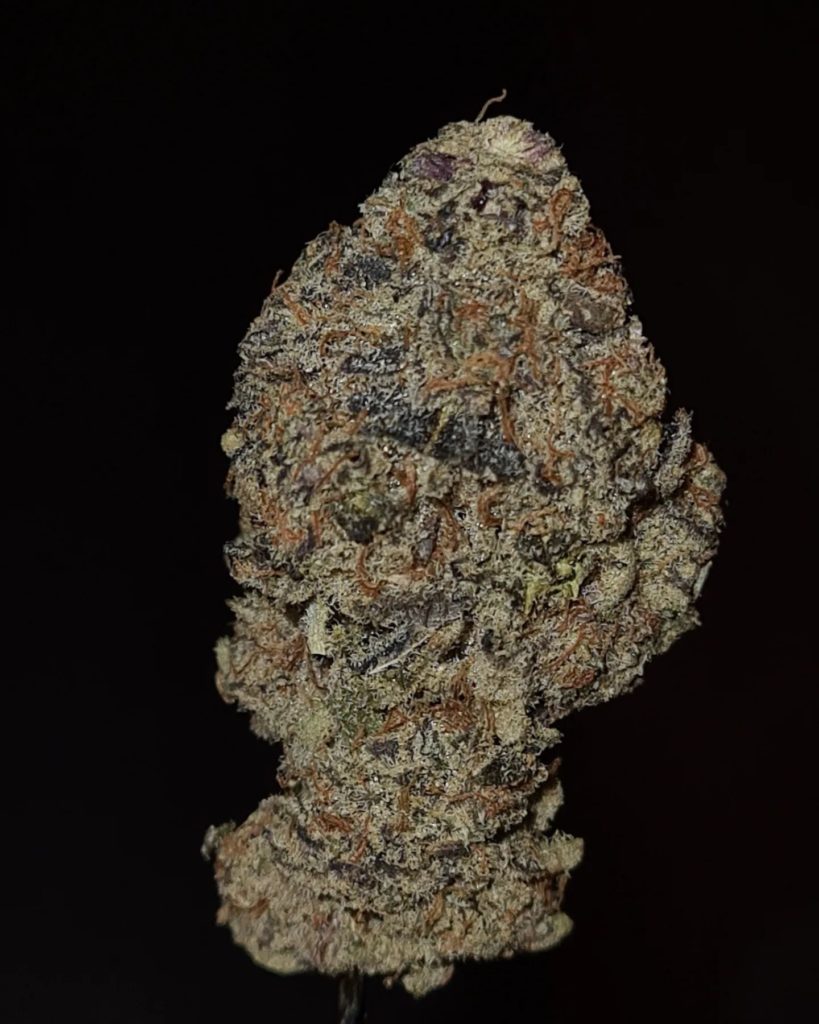 strawberries n later by jungle boys strain review by cannoisseurselections