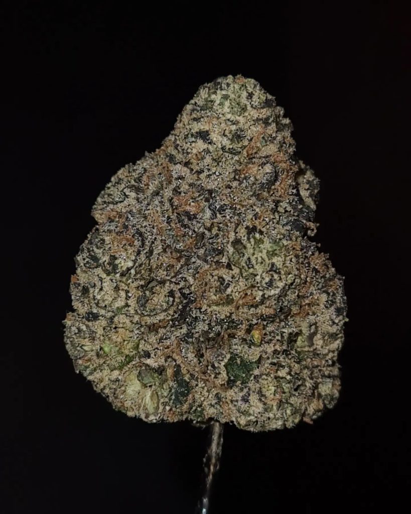 type 11 by high mart strain review by cannoisseurselections