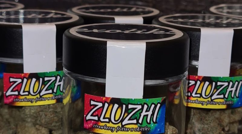 zluzhi by exotiks strain review by cannoisseurselections 2.webp