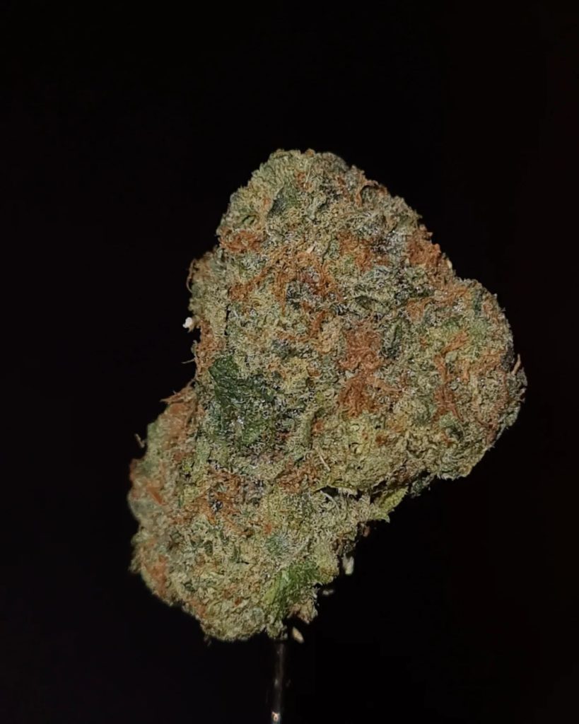 zluzhi by exotiks strain review by cannoisseurselections