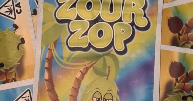 zourzop 2024 strain review by cannoisseurselections