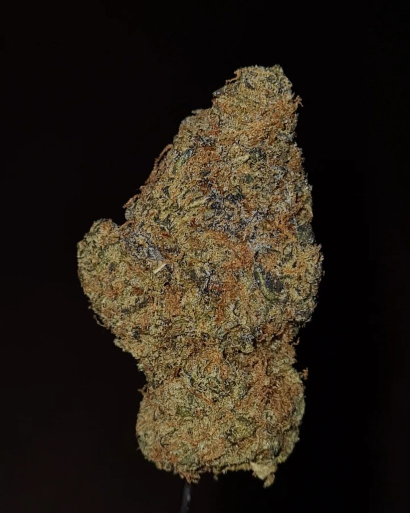 gusher pie #8 by grower4life strain review by cannoisseurselections