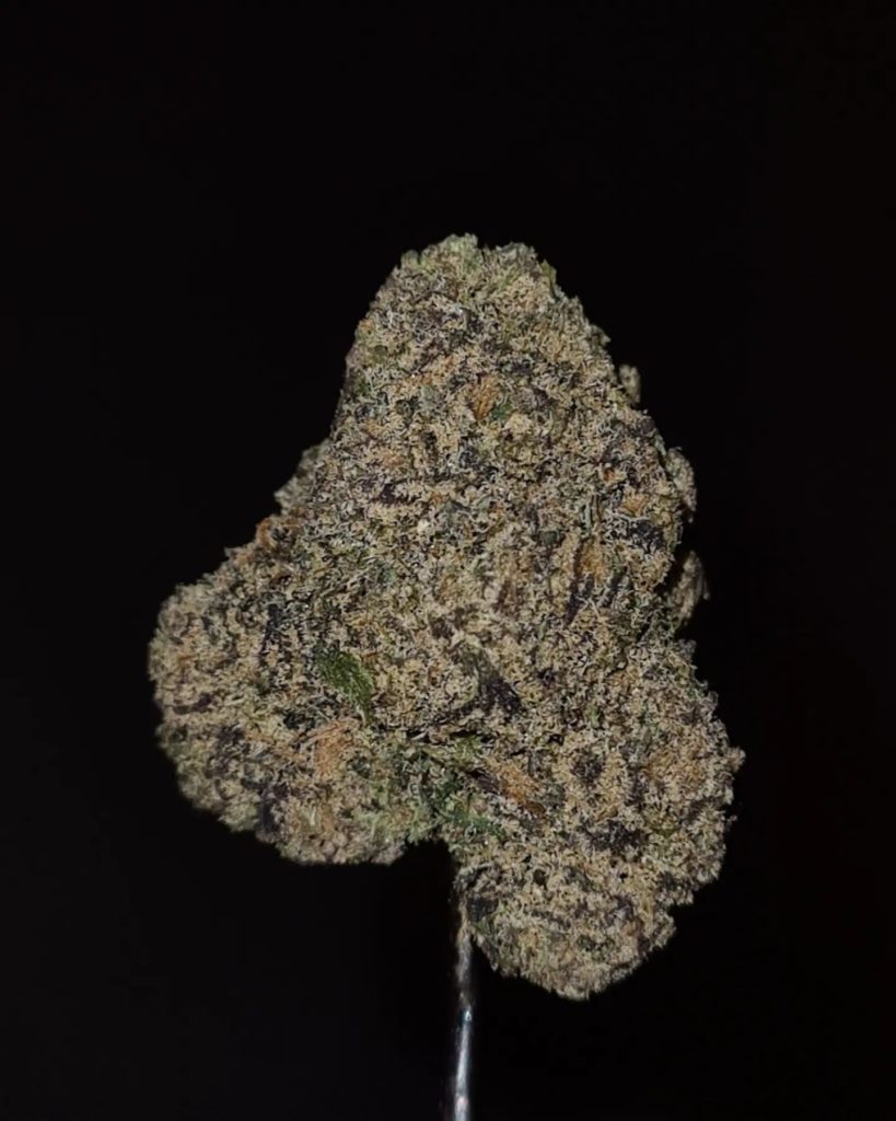 jesus shuttleworth by blueprint strain review by cannoisseurselections