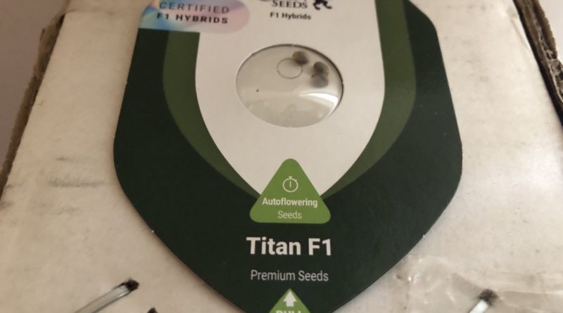 royal queen seeds titan f1 hybrids