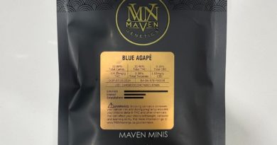 blue agape by maven genetics strain review by eriksreviews 2