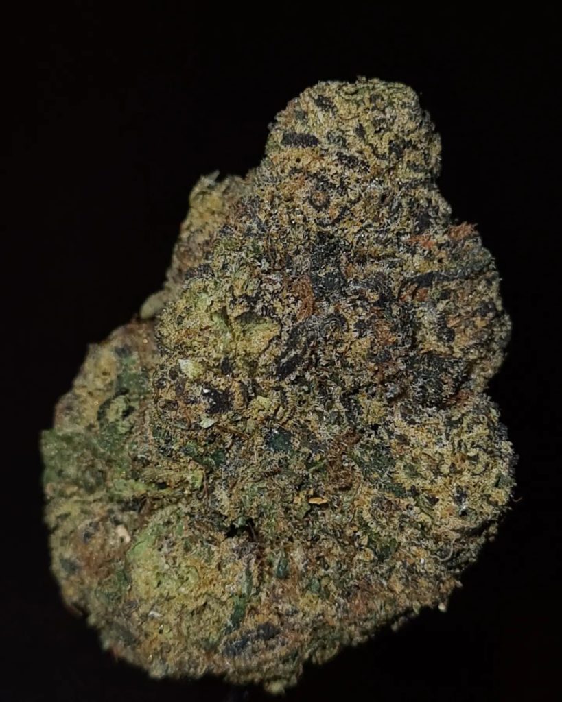 blue cranberry sauce by zaba cannabis co strain review by cannoisseurselections