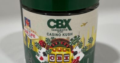 casino kush by cannabiotix 2024 strain review by eriksreview 2