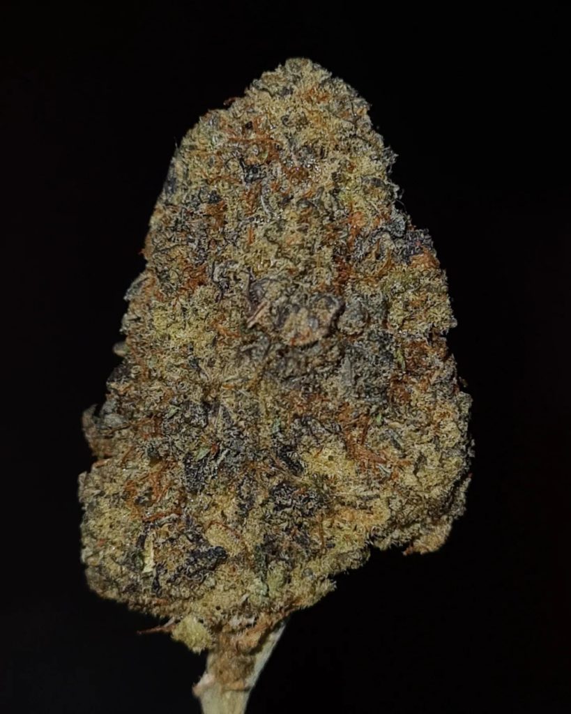 dulce de petrol by skrilly the kid strain review by cannoisseurselections