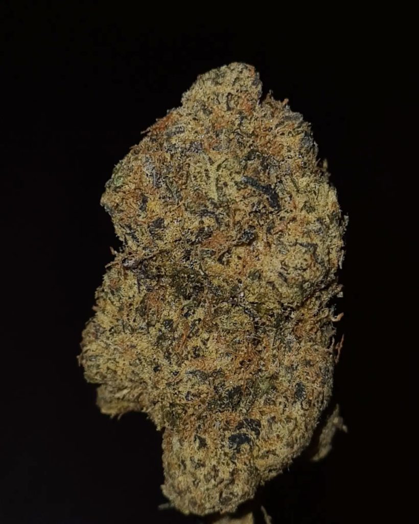 jugo de tuna by zourzop strain review by cannoisseurselections