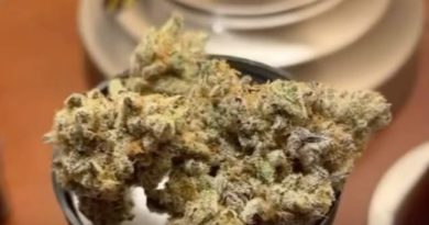 la kush cake by brave boat gardens strain review by lungfood