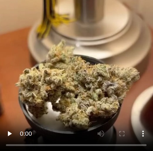 la kush cake by brave boat gardens strain review by lungfood