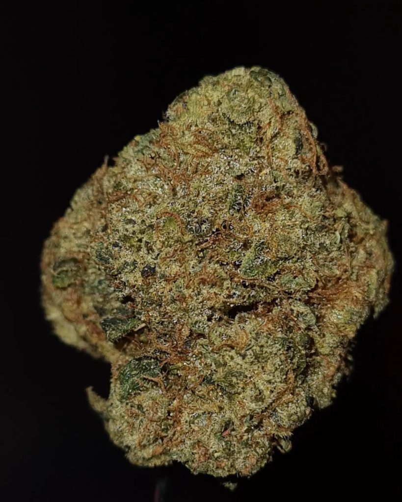 legend og by jungle boys strain review by cannoisseurselections