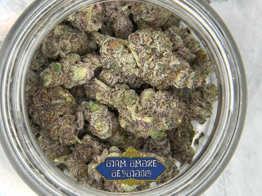 night moves by green space cnx strain review by terp report thailand