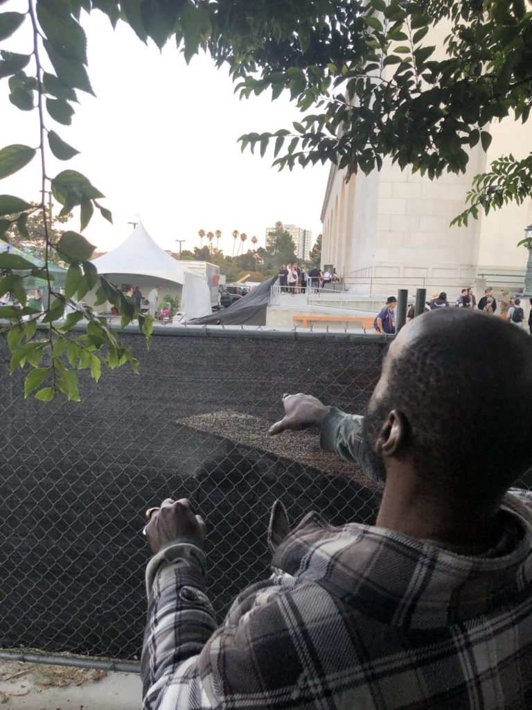 oakland native admires cat piss plant from behind fence at emerald cup 2024