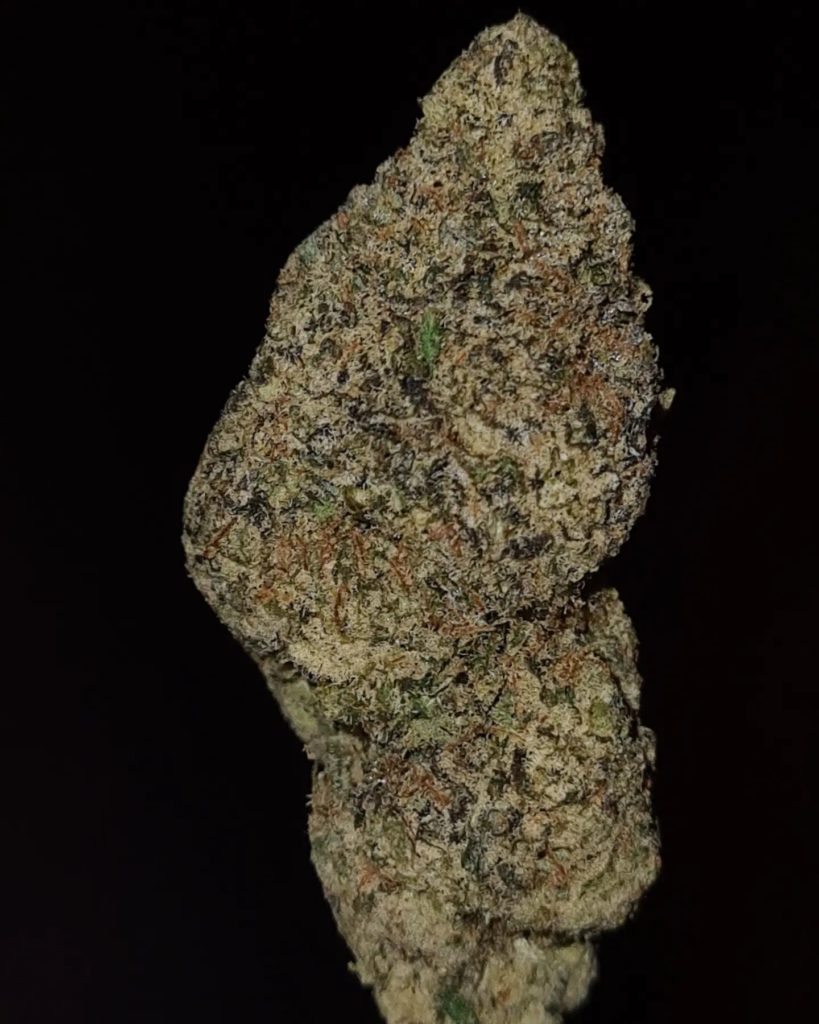 p90 by blueprint 2024 strain review by cannoisseurselections