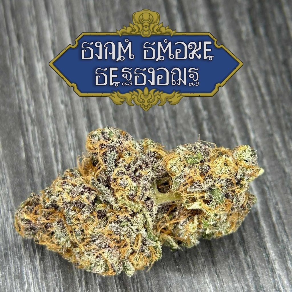 pave s1 by humble gardens thailand strain review by terp report th