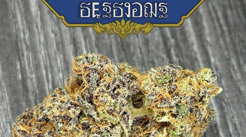 pave s1 by humble gardens thailand strain review by terp report th