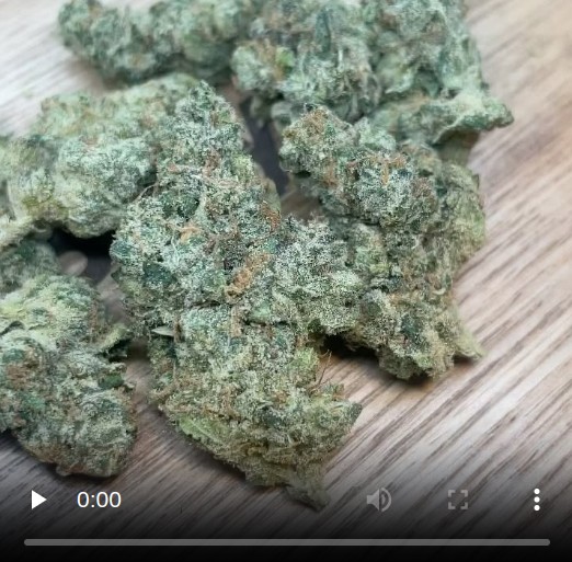 rat poison by gotti strain review by lungfood