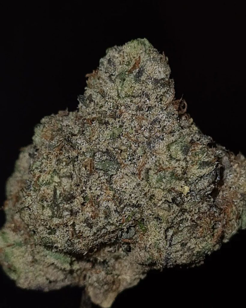 wizard fuel by wizard trees x burning rope pharms strain review by cannoisseurselections