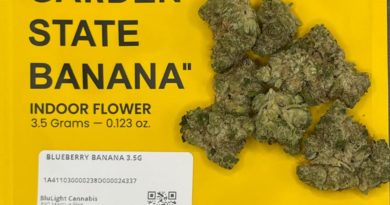 blueberry banana by garden greens nj strain review by averagejoeweedreviewsnj 2